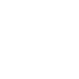 Disability Access